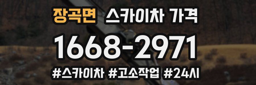 장곡면 스카이차 가격