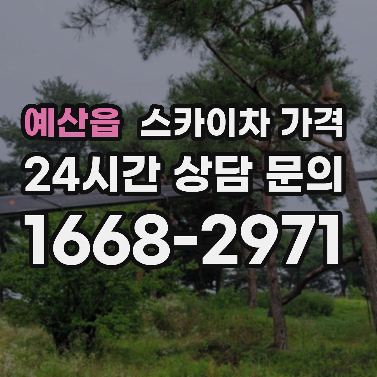 예산읍 스카이차 가격