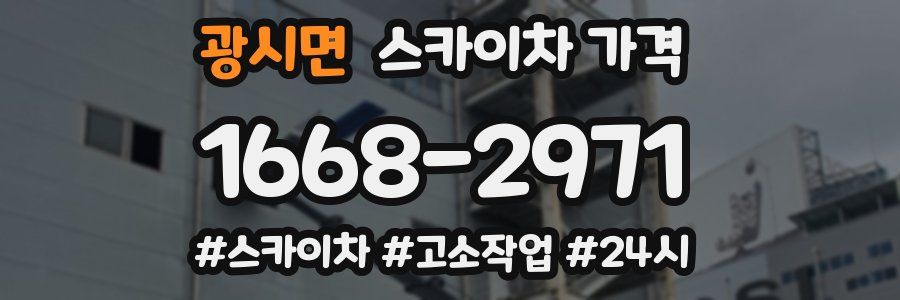 광시면 스카이차 가격