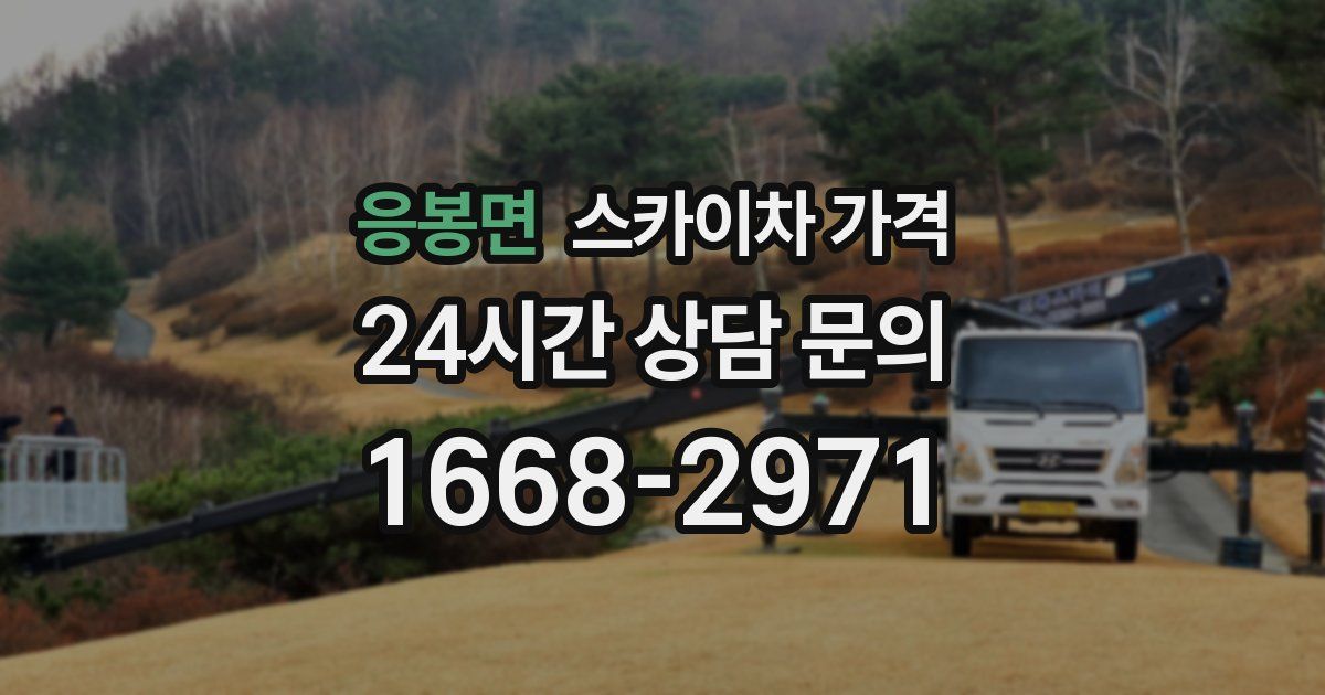 응봉면 스카이차 가격