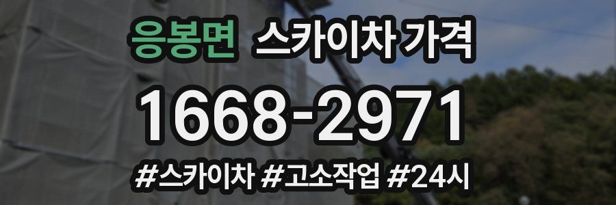응봉면 스카이차 가격