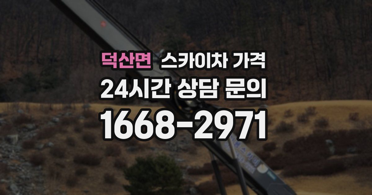 덕산면 스카이차 가격