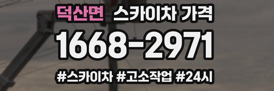 덕산면 스카이차 가격