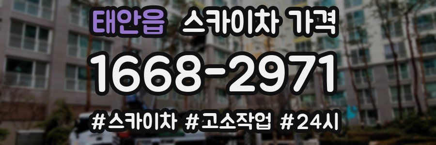 태안읍 스카이차 가격