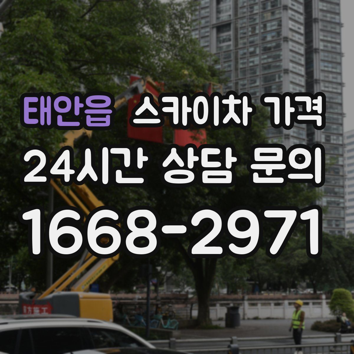 태안읍 스카이차 가격