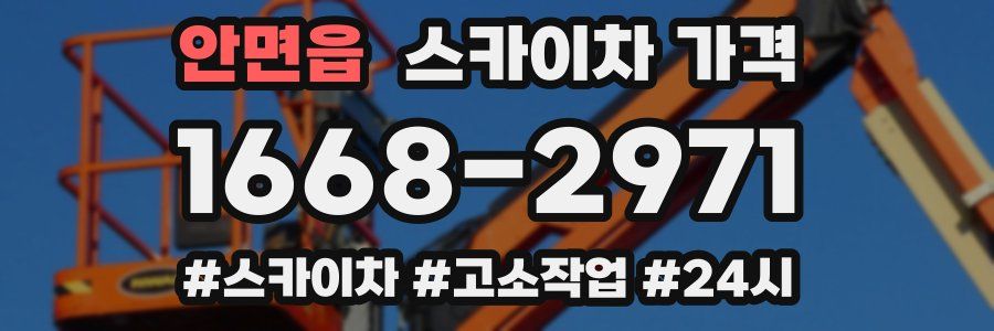 안면읍 스카이차 가격