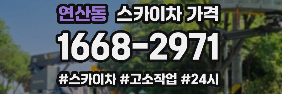 연산동 스카이차 가격