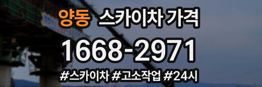 양동 스카이차 가격