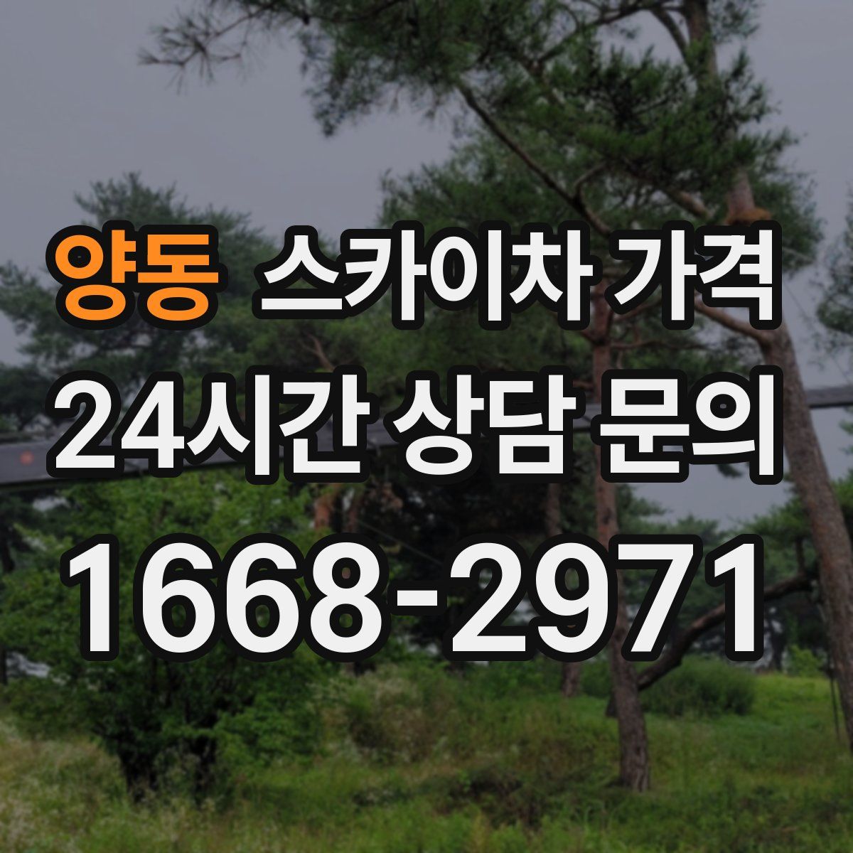 양동 스카이차 가격