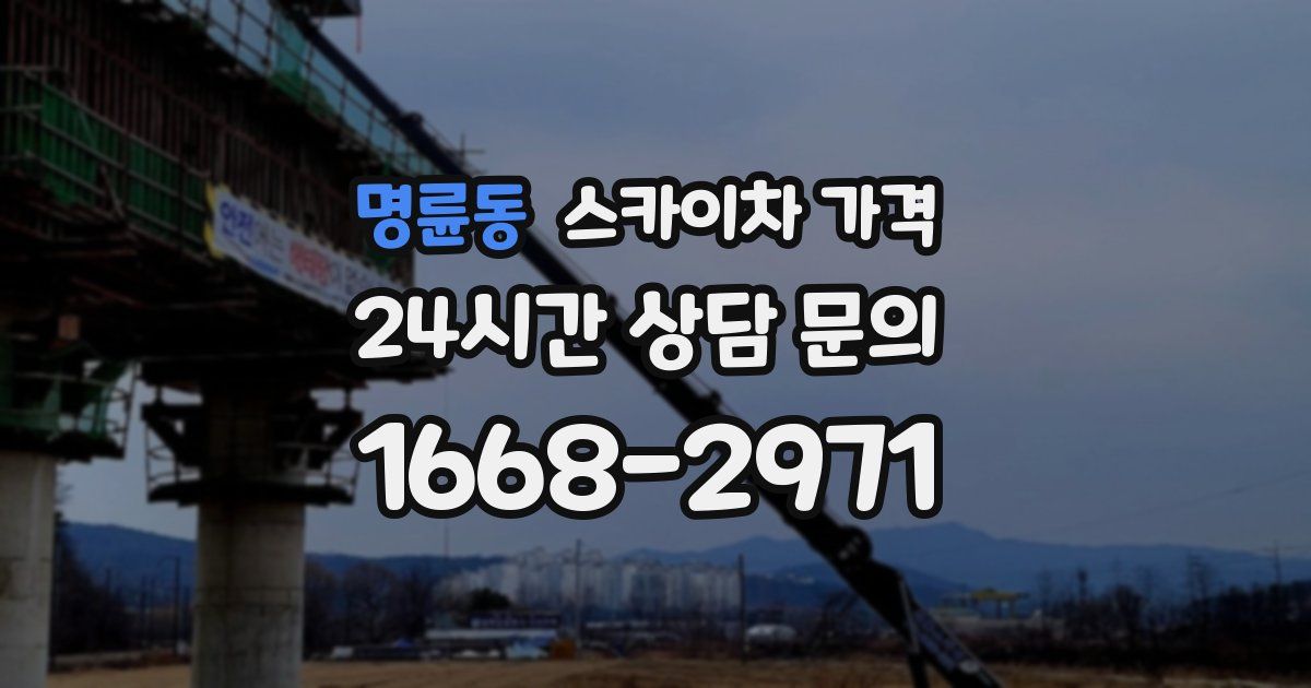 명륜동 스카이차 가격