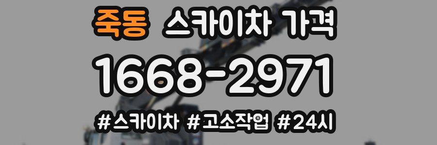 죽동 스카이차 가격