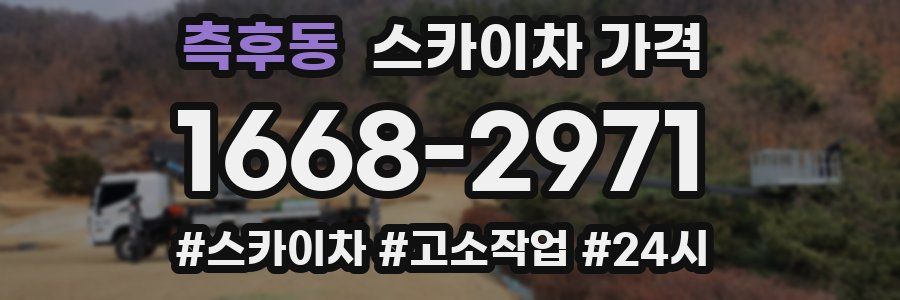 측후동 스카이차 가격