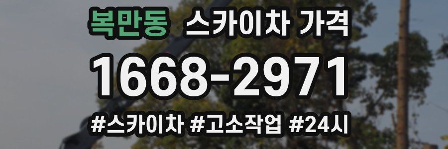 복만동 스카이차 가격