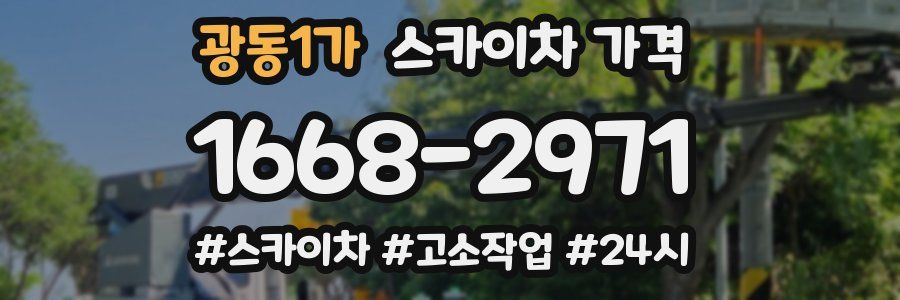 광동1가 스카이차 가격