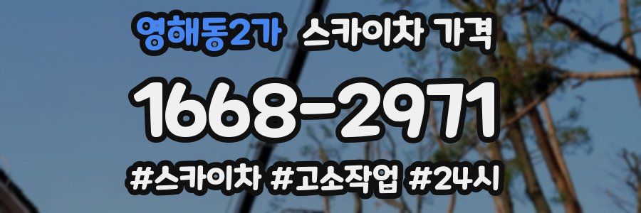 영해동2가 스카이차 가격