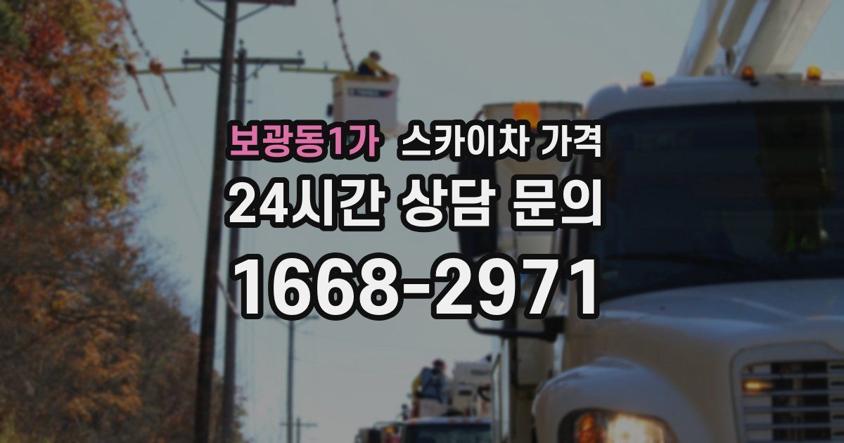 보광동1가 스카이차 가격