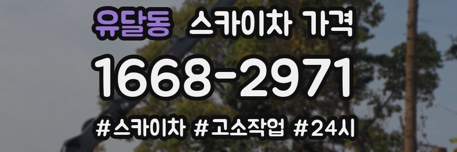 유달동 스카이차 가격