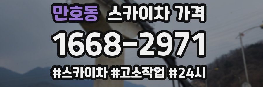 만호동 스카이차 가격