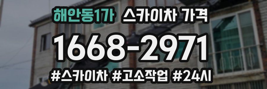 해안동1가 스카이차 가격