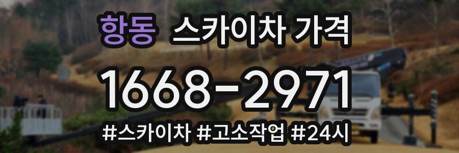 항동 스카이차 가격