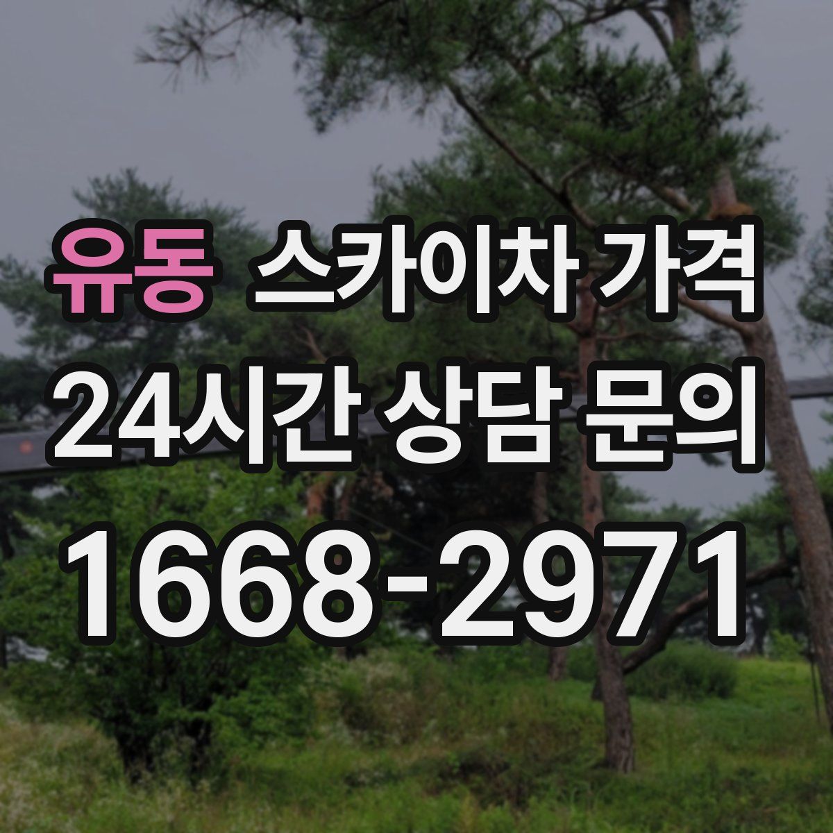 유동 스카이차 가격