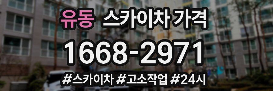 유동 스카이차 가격