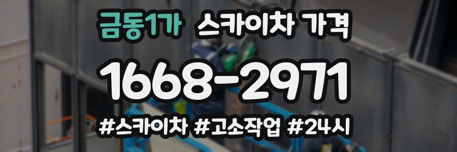 금동1가 스카이차 가격