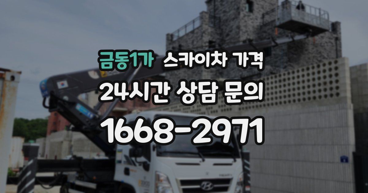 금동1가 스카이차 가격