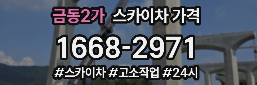 금동2가 스카이차 가격