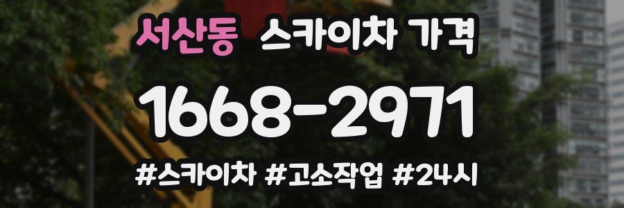 서산동 스카이차 가격