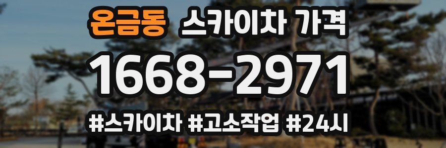 온금동 스카이차 가격
