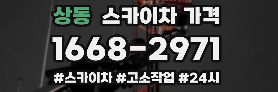 상동 스카이차 가격