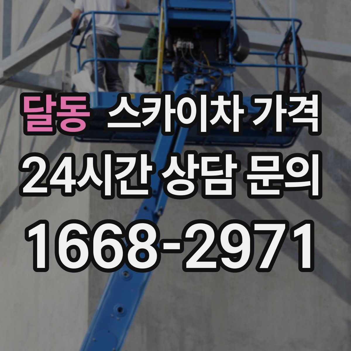 달동 스카이차 가격