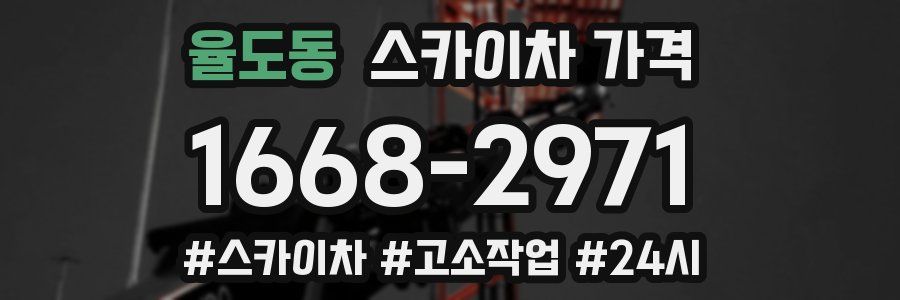 율도동 스카이차 가격