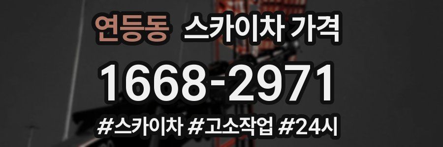 연등동 스카이차 가격