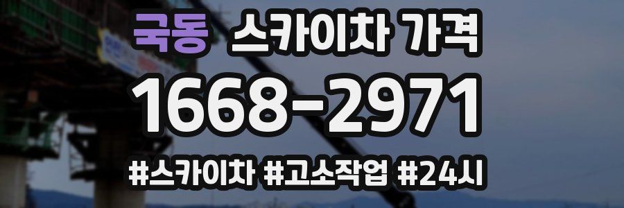 국동 스카이차 가격