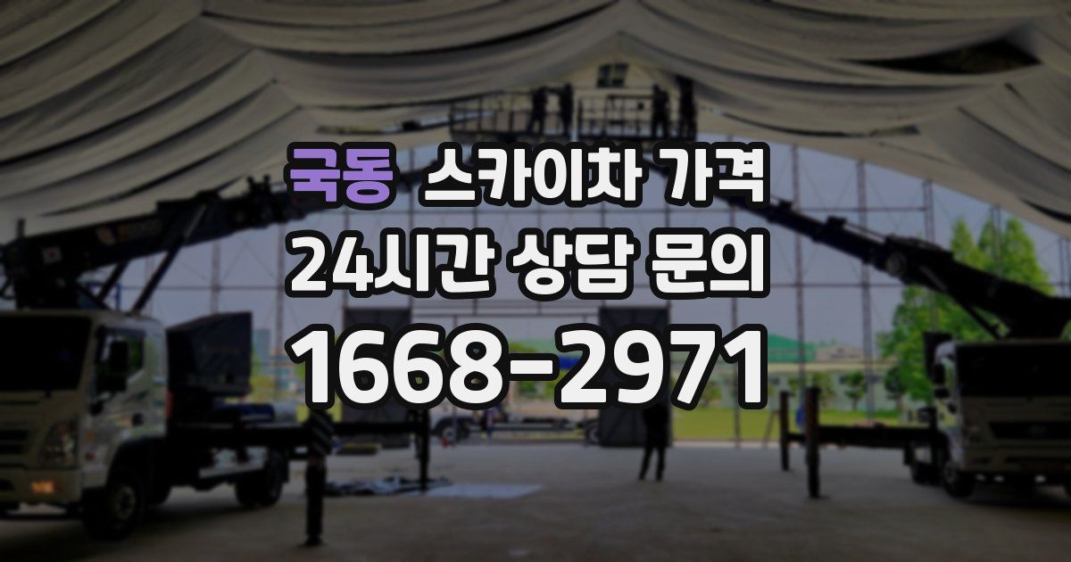 국동 스카이차 가격