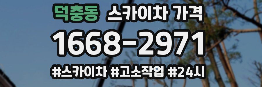 덕충동 스카이차 가격