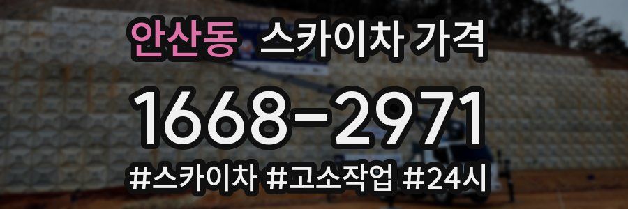 안산동 스카이차 가격