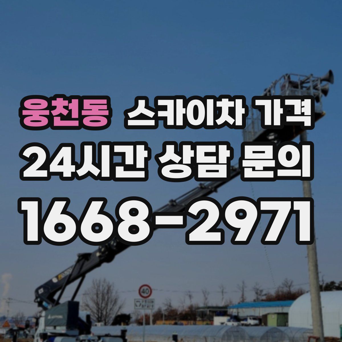 웅천동 스카이차 가격