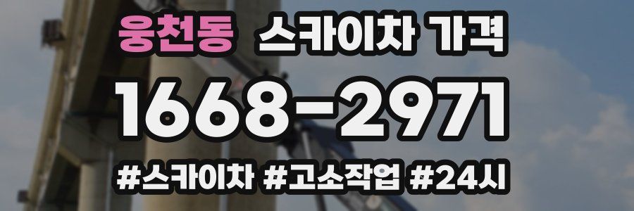 웅천동 스카이차 가격