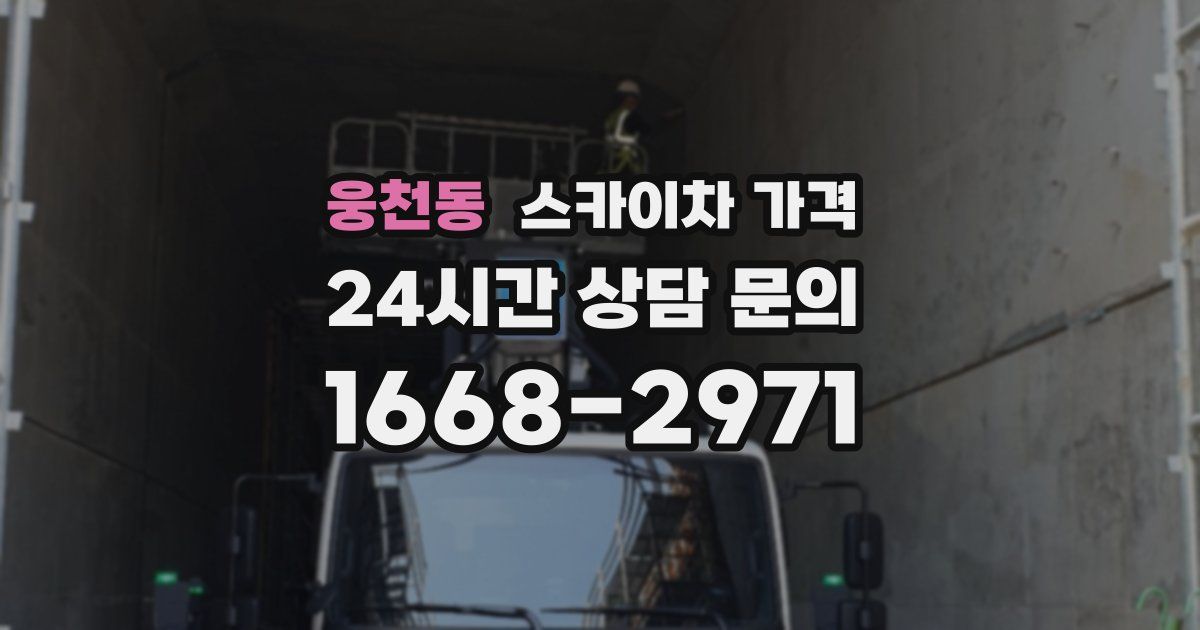 웅천동 스카이차 가격