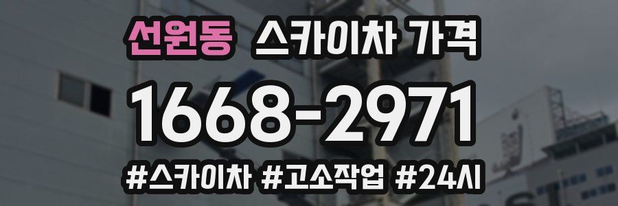 선원동 스카이차 가격