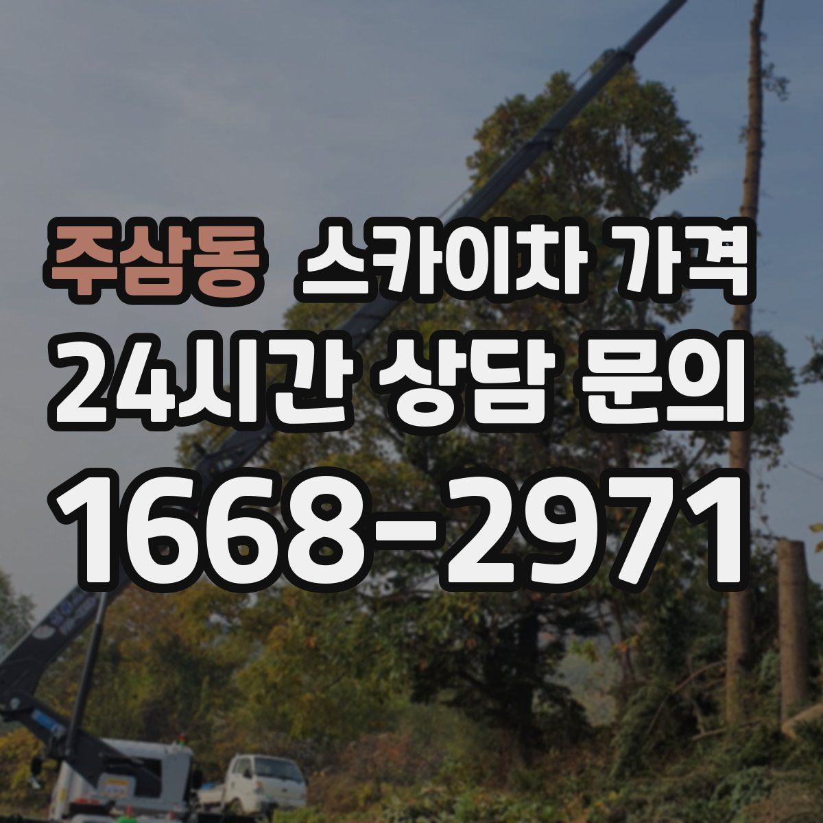 주삼동 스카이차 가격