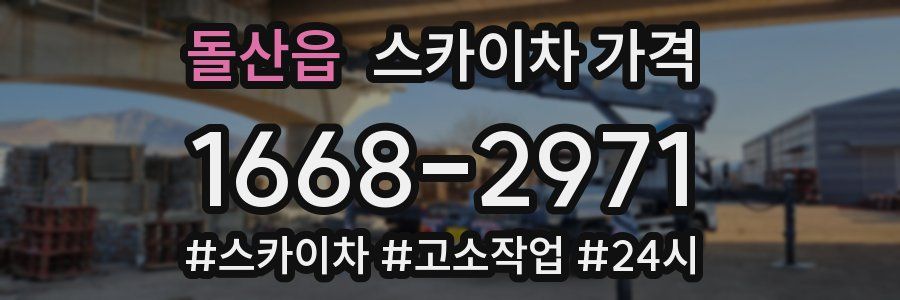 돌산읍 스카이차 가격