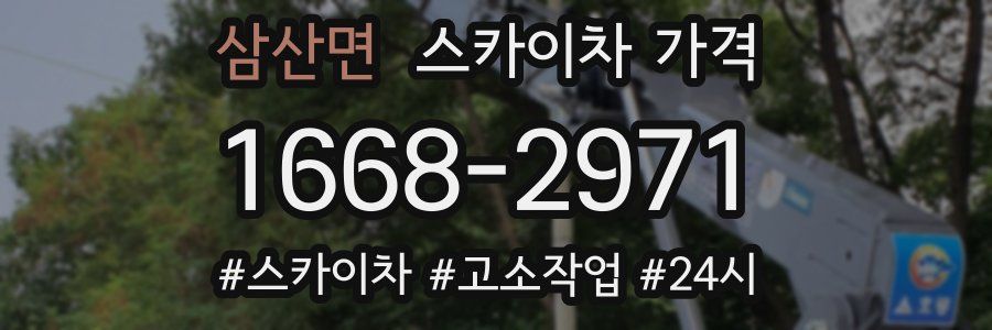 삼산면 스카이차 가격