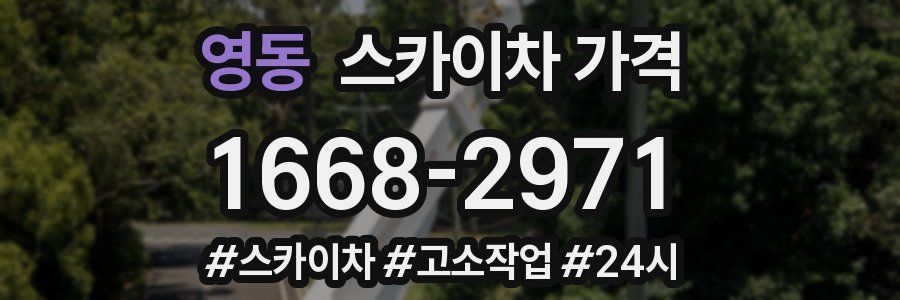 영동 스카이차 가격