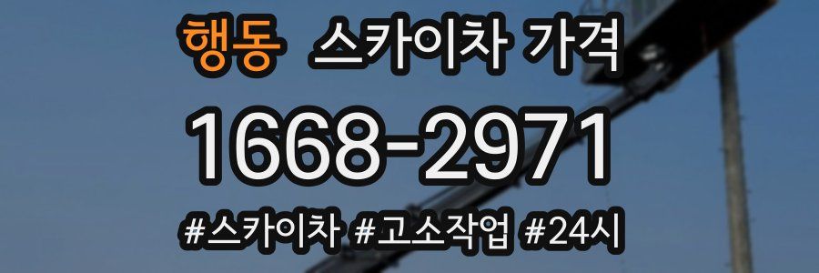 행동 스카이차 가격