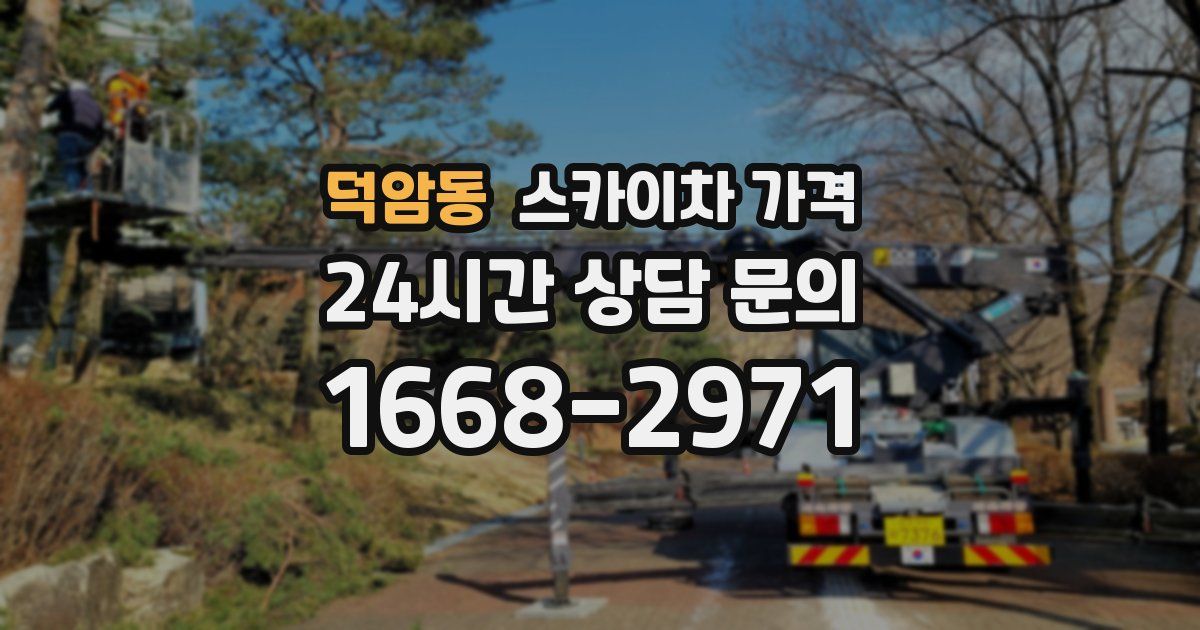덕암동 스카이차 가격