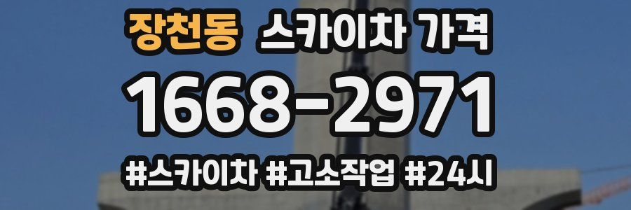 장천동 스카이차 가격